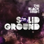 black-seeds-solid-ground