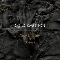 Troy_Lindsey_Cover_phixr